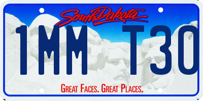 SD license plate 1MMT30