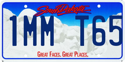 SD license plate 1MMT65