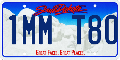 SD license plate 1MMT80