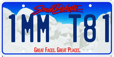 SD license plate 1MMT81