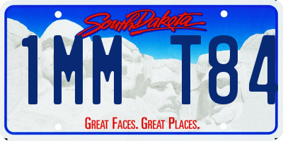 SD license plate 1MMT84
