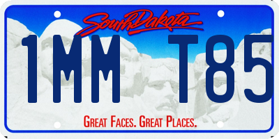 SD license plate 1MMT85