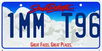 SD license plate 1MMT96