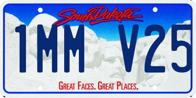 SD license plate 1MMV25