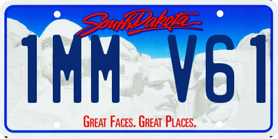SD license plate 1MMV61