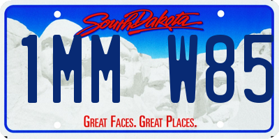 SD license plate 1MMW85
