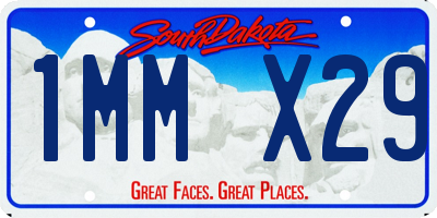 SD license plate 1MMX29