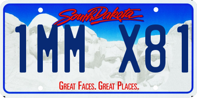 SD license plate 1MMX81