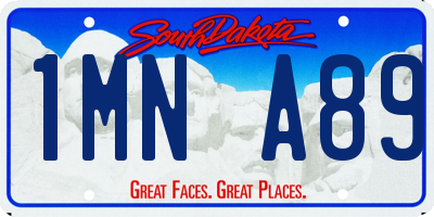 SD license plate 1MNA89