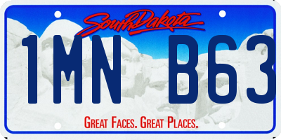 SD license plate 1MNB63