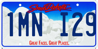 SD license plate 1MNI29