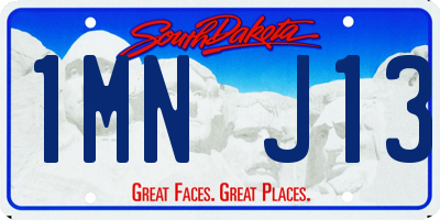 SD license plate 1MNJ13