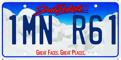 SD license plate 1MNR61