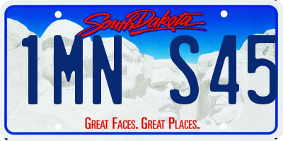 SD license plate 1MNS45