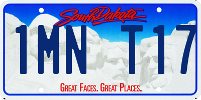 SD license plate 1MNT17