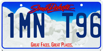 SD license plate 1MNT96