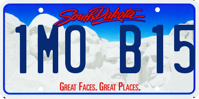 SD license plate 1MOB15