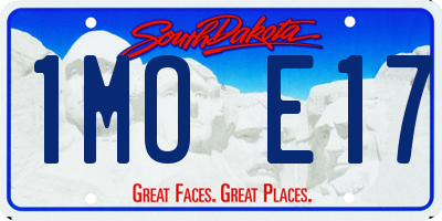 SD license plate 1MOE17