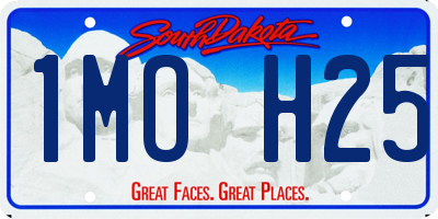 SD license plate 1MOH25