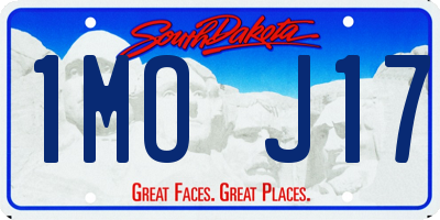 SD license plate 1MOJ17