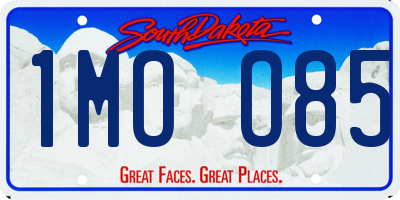 SD license plate 1MOO85