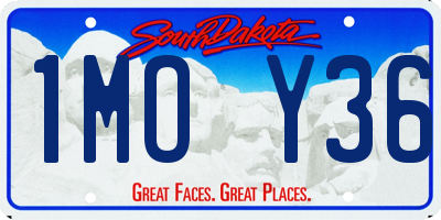 SD license plate 1MOY36