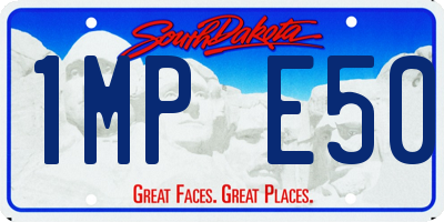SD license plate 1MPE50
