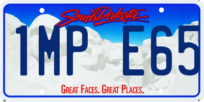 SD license plate 1MPE65