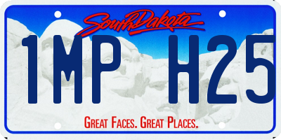 SD license plate 1MPH25
