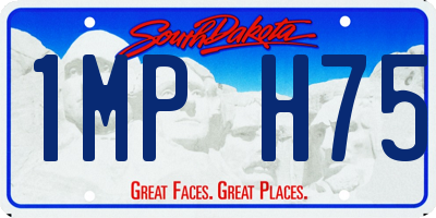 SD license plate 1MPH75