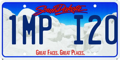 SD license plate 1MPI20