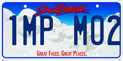 SD license plate 1MPM02