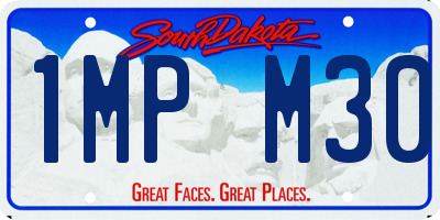 SD license plate 1MPM30