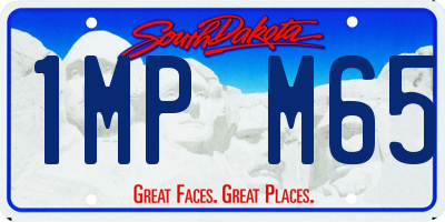 SD license plate 1MPM65