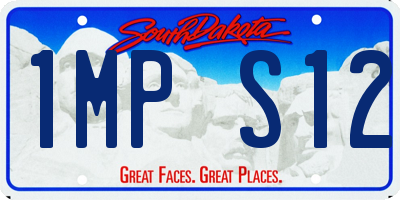 SD license plate 1MPS12