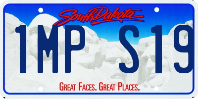 SD license plate 1MPS19
