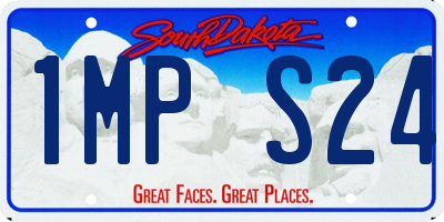 SD license plate 1MPS24