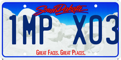 SD license plate 1MPX03