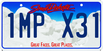 SD license plate 1MPX31