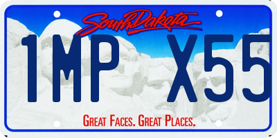 SD license plate 1MPX55