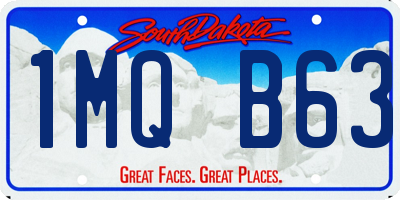 SD license plate 1MQB63