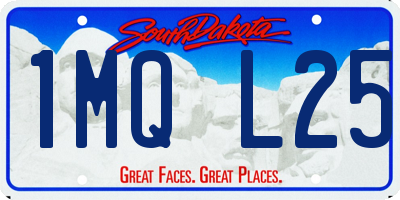 SD license plate 1MQL25