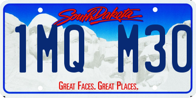 SD license plate 1MQM30