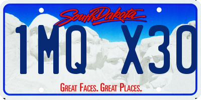 SD license plate 1MQX30