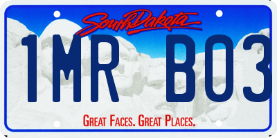 SD license plate 1MRB03