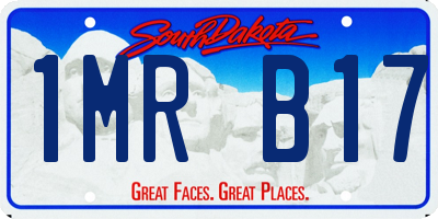 SD license plate 1MRB17