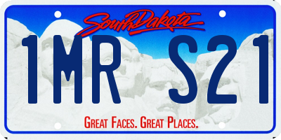 SD license plate 1MRS21