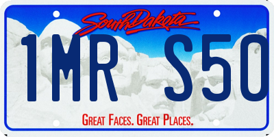 SD license plate 1MRS50