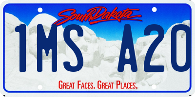 SD license plate 1MSA20