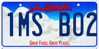 SD license plate 1MSB02